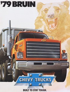 1979 Chevrolet Bruin-01.jpg